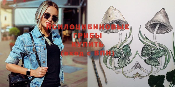 хмурый Абаза