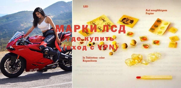 хмурый Абаза